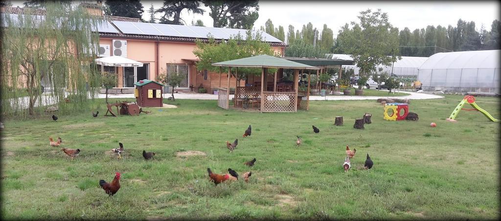 Bed and Breakfast Agriturismo Perugini Cesena Exteriér fotografie